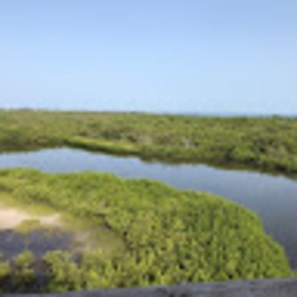 Meet your Posher, Joe - Picture 1 of 1